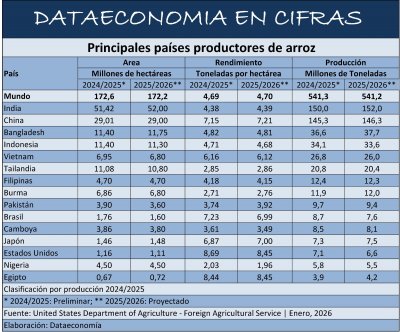 Principales países productores de arroz